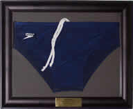 Photo of Speedo Swimsuit that is framed