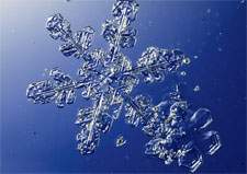 Snowflake preserved in superglue