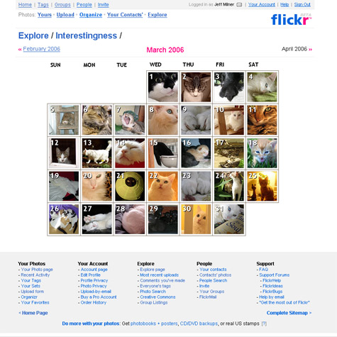Flickr cats on Explore page