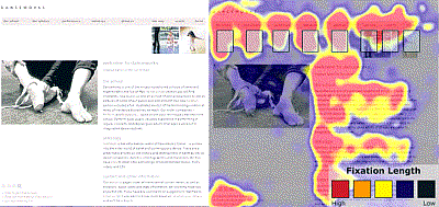 eye tracking web sites