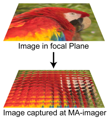 Multi-array image