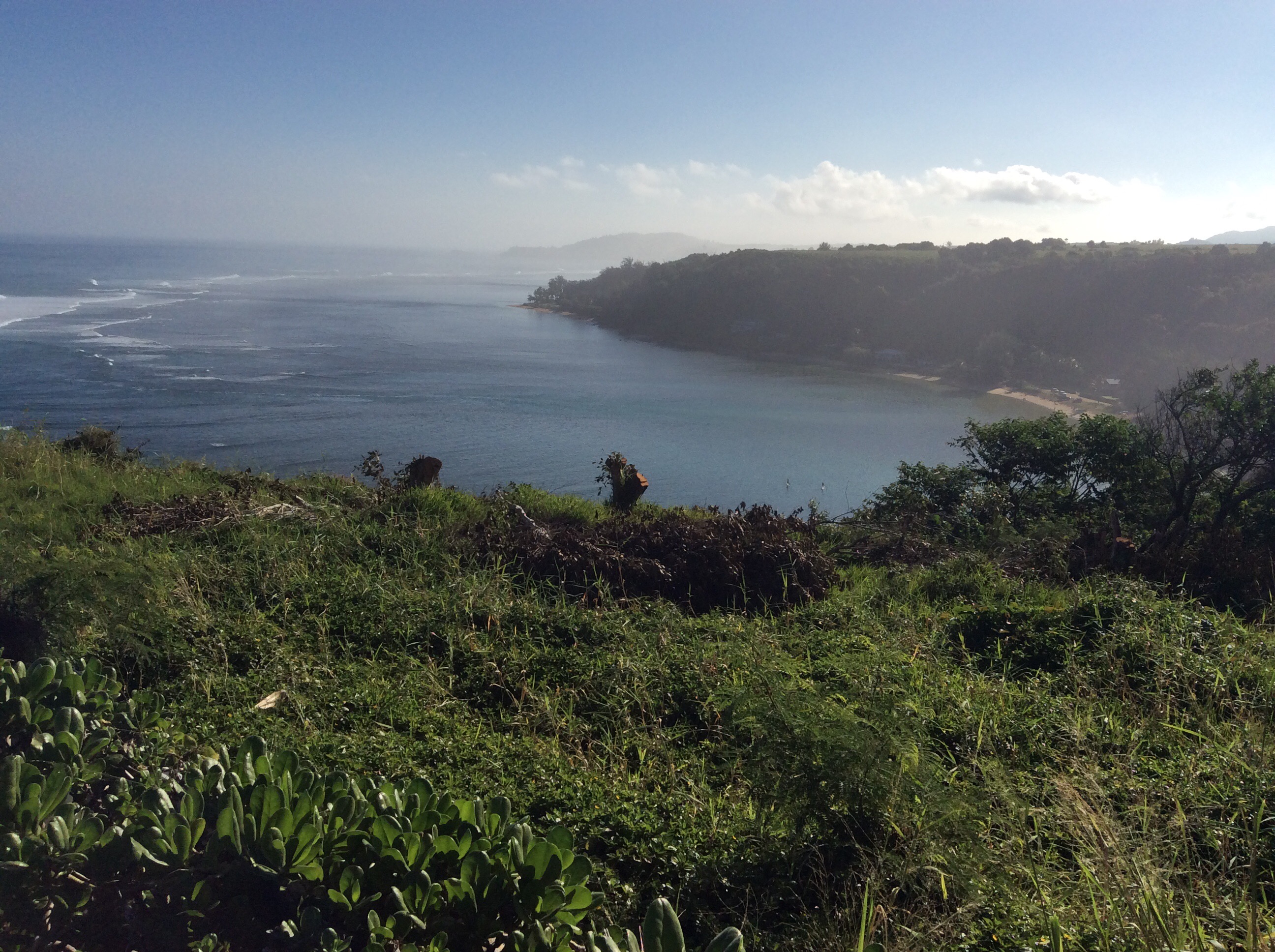 A view looking out into a blue sky, a few clouds, deep blue ocean with a couple of white waves, and green foliage in the foreground.