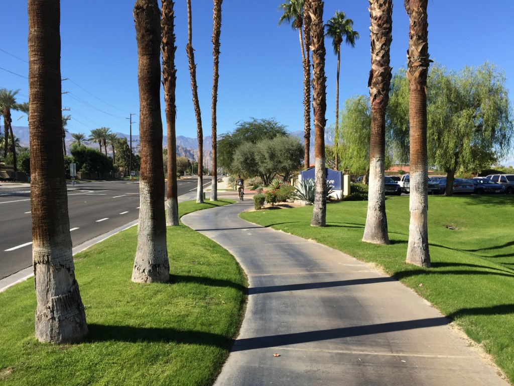 A windy path, bright green grass, and palm tree trunks near an empty but wide road.