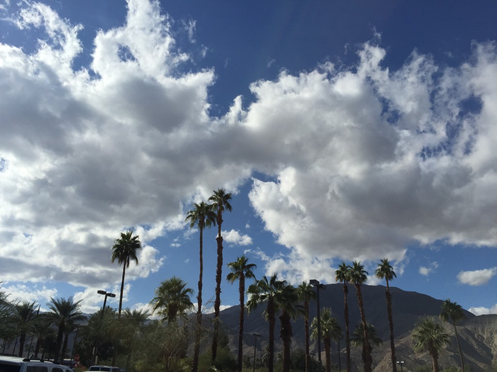 clouds and palm trees