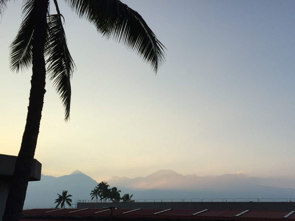 Maui Airport Scenery